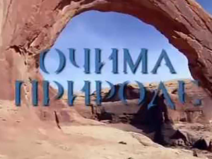Очима природе:	Игра светла и таме