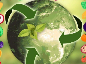 Биодиверзитет - Мрежа живота