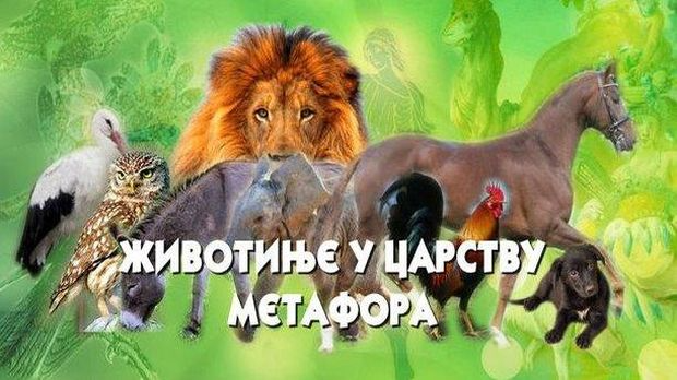 Животиње у царству метафора:	Коњ