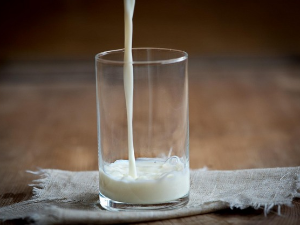 Млекарска криза на Балкану – фармери траже заштиту, тврде да је тржиште преплављено увозом