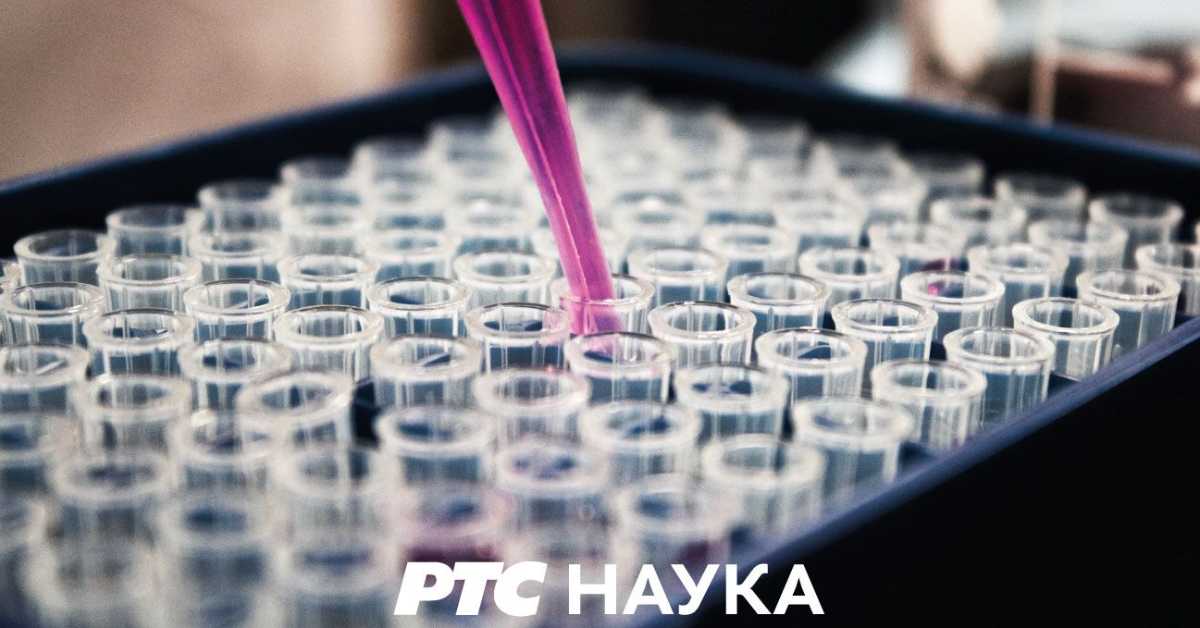 Благо из дубина, благо земље: Злакуса Благо из дубина, благо земље: Злакуса