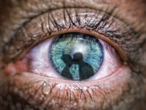 1001 Траг – Ја не жалим очи своје