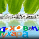 Мој ујак:	Похована пухара