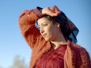 Сви воле Туду