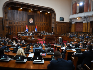 Расправа о амандманима на осам предлога закона - теме и мимо дневног реда