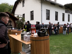 Који су домети производње прокупца -  аутохтоне сорте грожђа