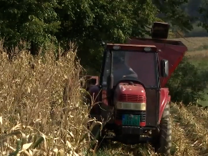 Општина Kрупањ: Проблеми и исељавање