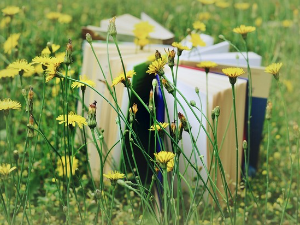  Слушајте „Пут у речи" и размишљајте о језику