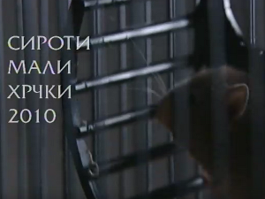 Сироти мали хрчки 2010, 1. део