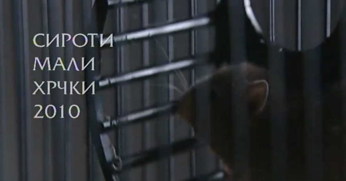 Сироти мали хрчки 2010, 1. део