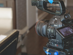 „Башта фест” и „Босифест” пред публиком