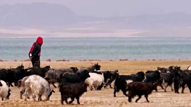 Кров света, 5. емисија