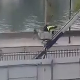 Објављен видео-снимак лопова у Лувру како се спуштају дизалицом 