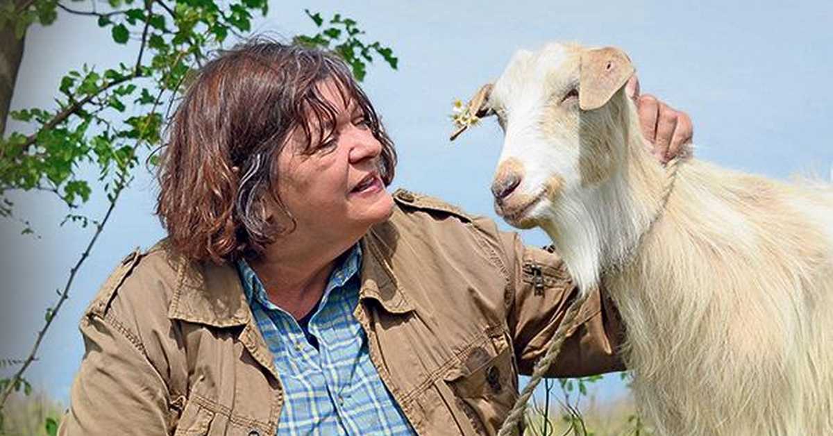 Козје уши: Најке старке Доситеј, 2-4