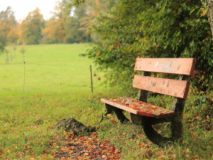 Облачно и кишовито у већем делу земље, на планинама могућ снег