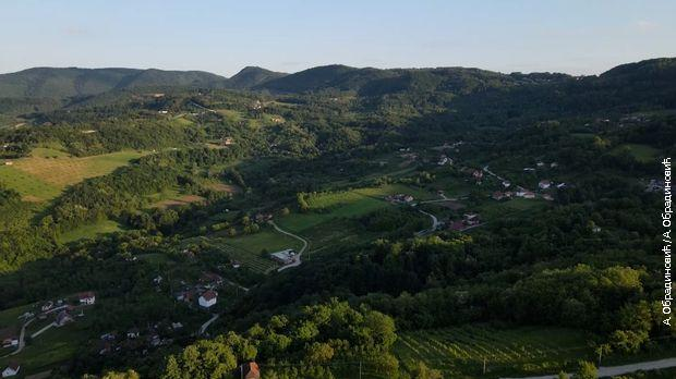 Моја дедовина: Чачанска урођена интелигенција Моја дедовина: Чачанска урођена интелигенција