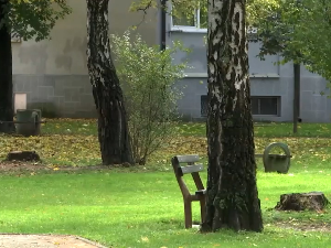 Лозница: Зашто грађане брине сеча стабала