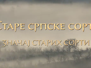 Еко минијатуре / старе српске сорте-Значај старих сорти
