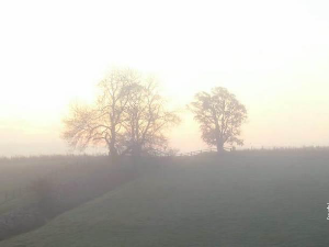 Мошо Одаловић: „Магла“