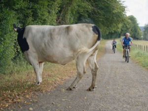 Зелени начин живота