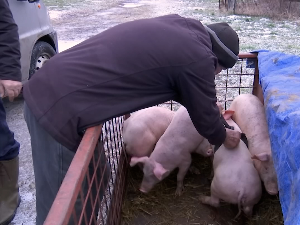 Сточна пијаца у Ристовцу код Бујановца јача и од минуса