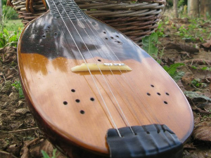 Тамбурица златна жица