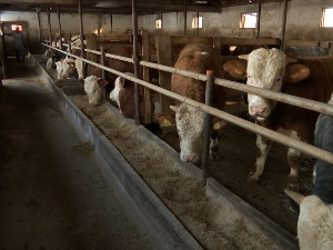 Агрегати најтраженија роба у ваљевском крају