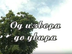 Од извора до увира