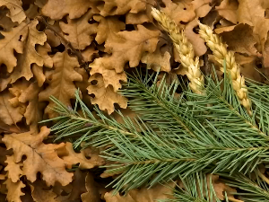 Како се Василиса или Мали Божић обележава у Врању 