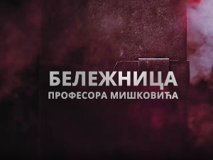 Бележница професора Мишковића, 1-12