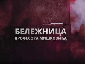 Бележница професора Мишковића, 4-12