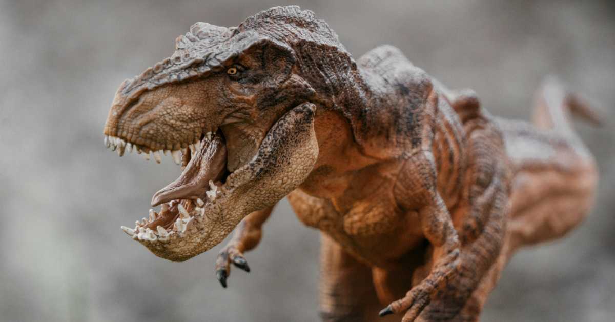 Нове анализе показале да је ти-рекс био дуговечнији него што су научници процењивали