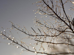 Ледени дан – сунчано, ветровито и хладно