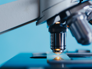 Свет у огледалу науке