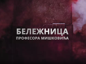 Бележница професора Мишковића, 6-12