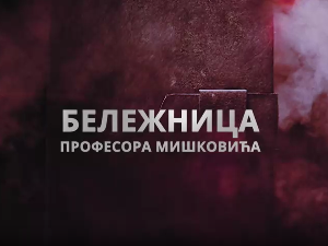 Бележница професора Мишковића, 7-12