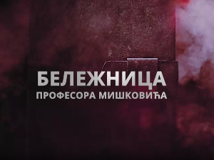 Бележница професора Мишковића, 10-12