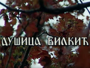 Постер Душице Билкић