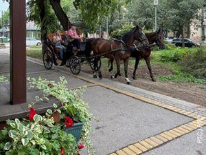 Еко перспективе: Зелени бисери Србије: Сомбор, 1. део