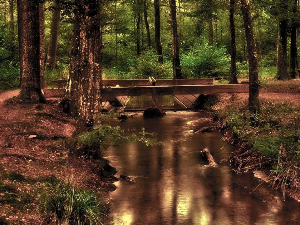 Јутарњи програм из три студија