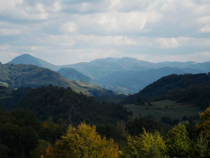 Ветеринарска мисија