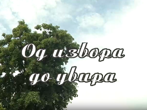 Од извора до увира