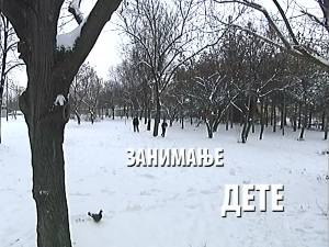 Занимање дете: Милица Јокић