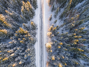 Нови путеви – Peter Horvath