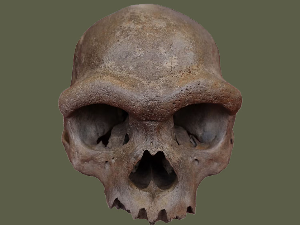 Како смо 2025. почели да решавамо једну од највећих мистерија људске еволуције