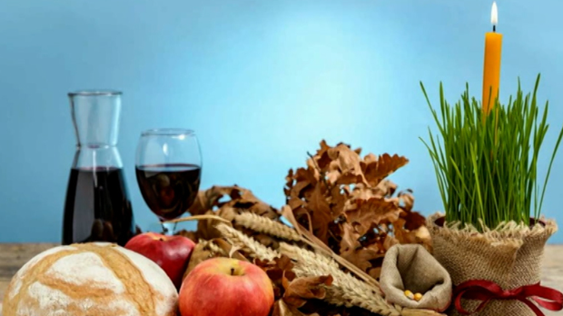 Фамилиологија: Породична прича