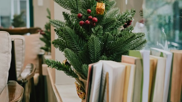 Гутенбергов одговор: Бесмртне лудости и Двокрилно огледало  