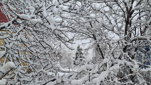 Речено и прећутано: Свети Сава и светосавље – путеводитељи и извориште свих наших токова   