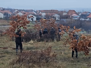 Бадње јутро на КиМ у знаку традиције и обичаја