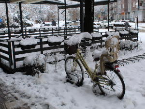 Копаоник у плусу, а Београд у минусу –  Недељко Тодоровић открива каква нас још изненађења очекују ове зиме